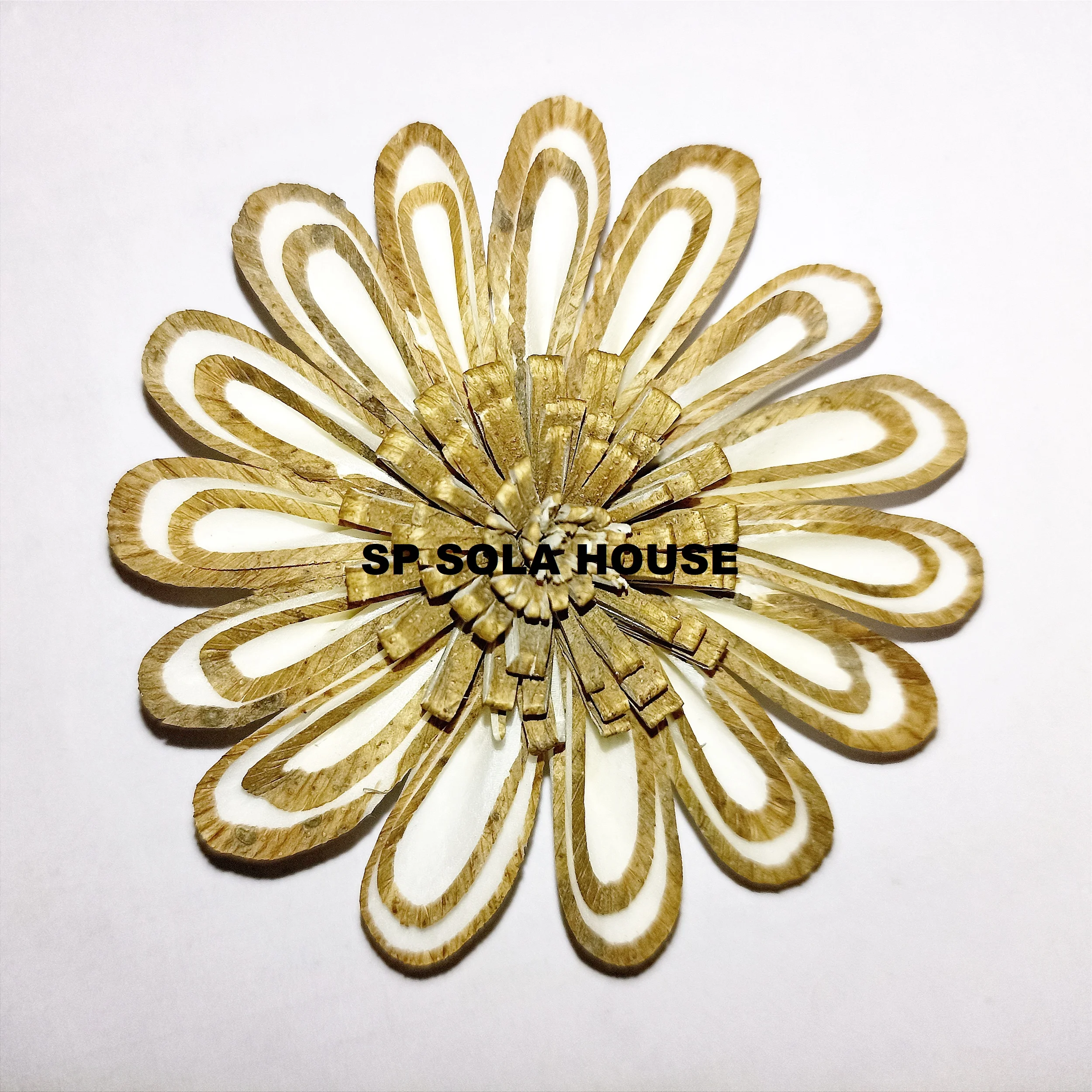 BROWN POLLEN CHIP SUNFLOWER