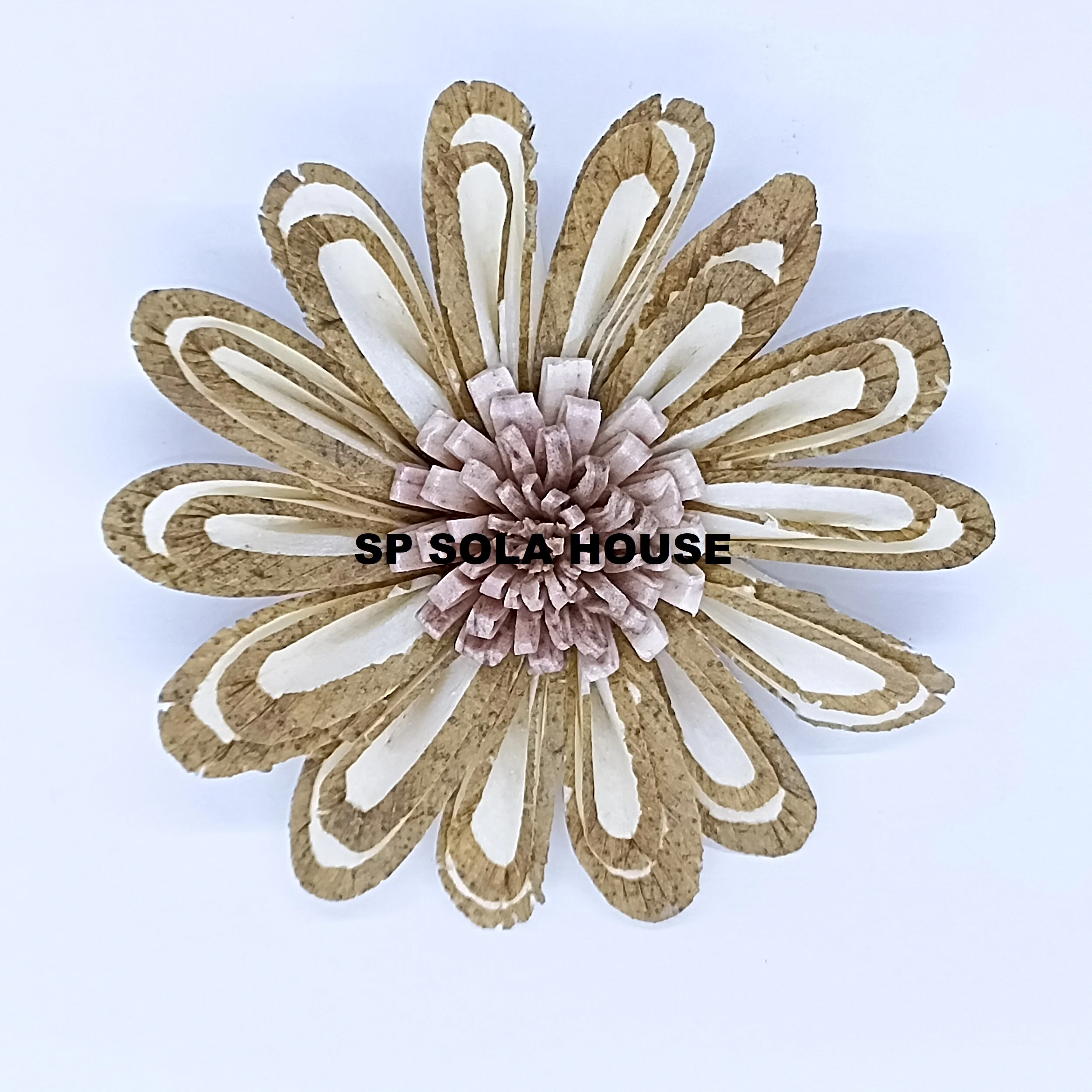 PINK POLLEN CHIP SUNFLOWER