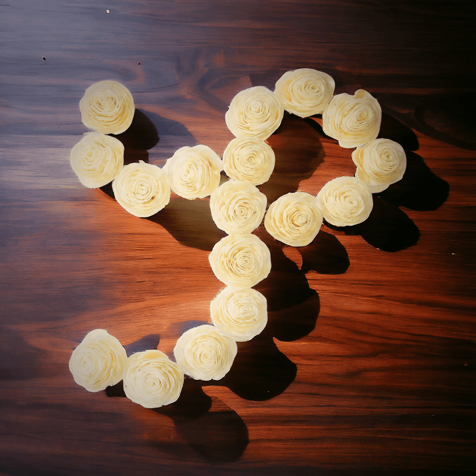 SP SOLA HOUSE Logo